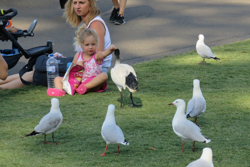 Gente en Australia