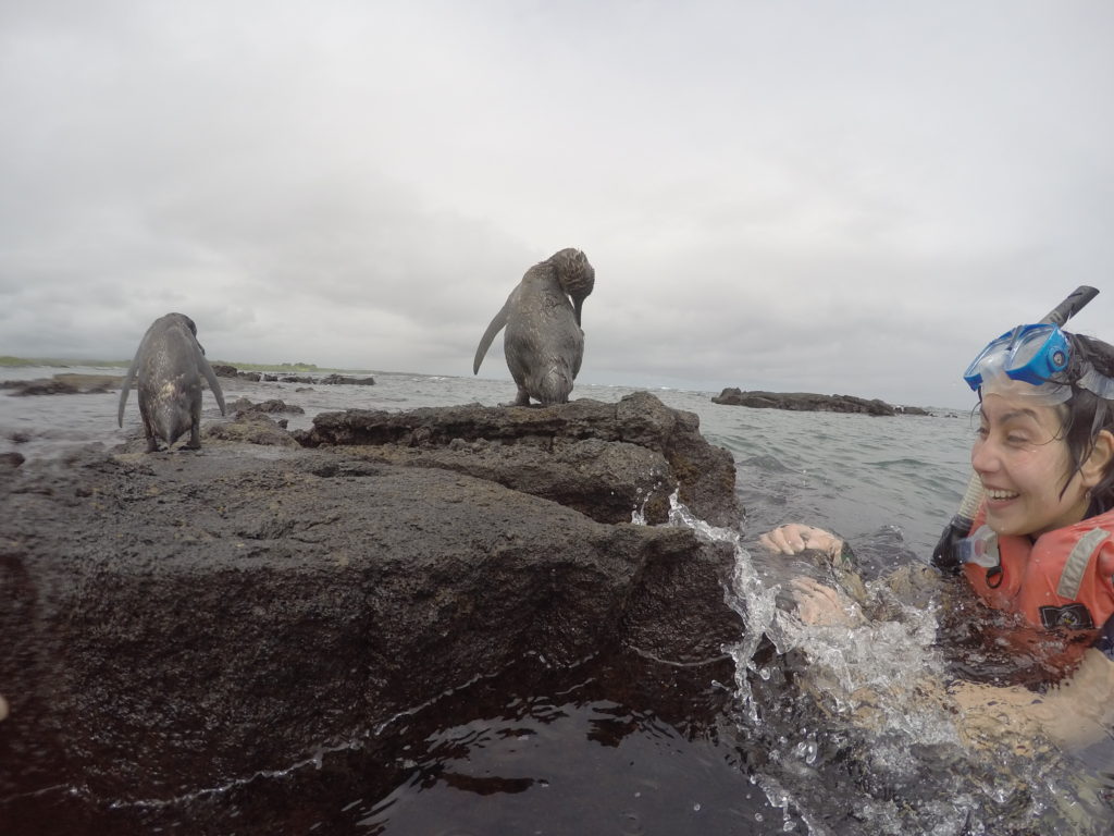 Historia en galápagos 