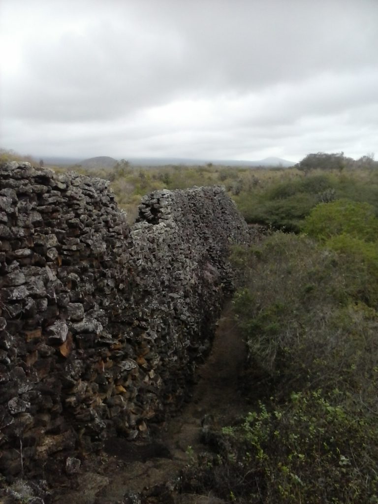 Historia en galápagos 