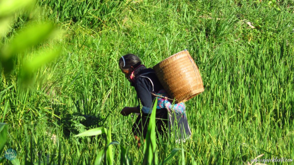 gente en vietnam