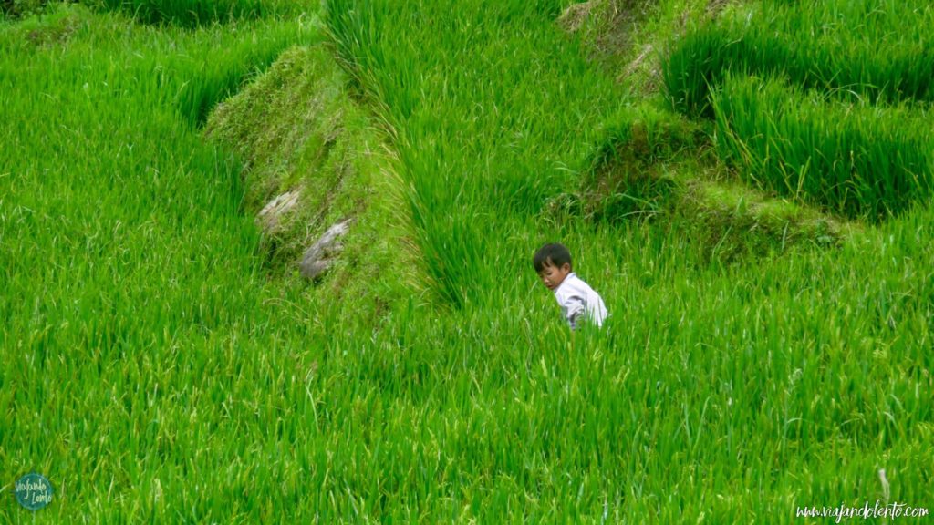 gente en vietnam