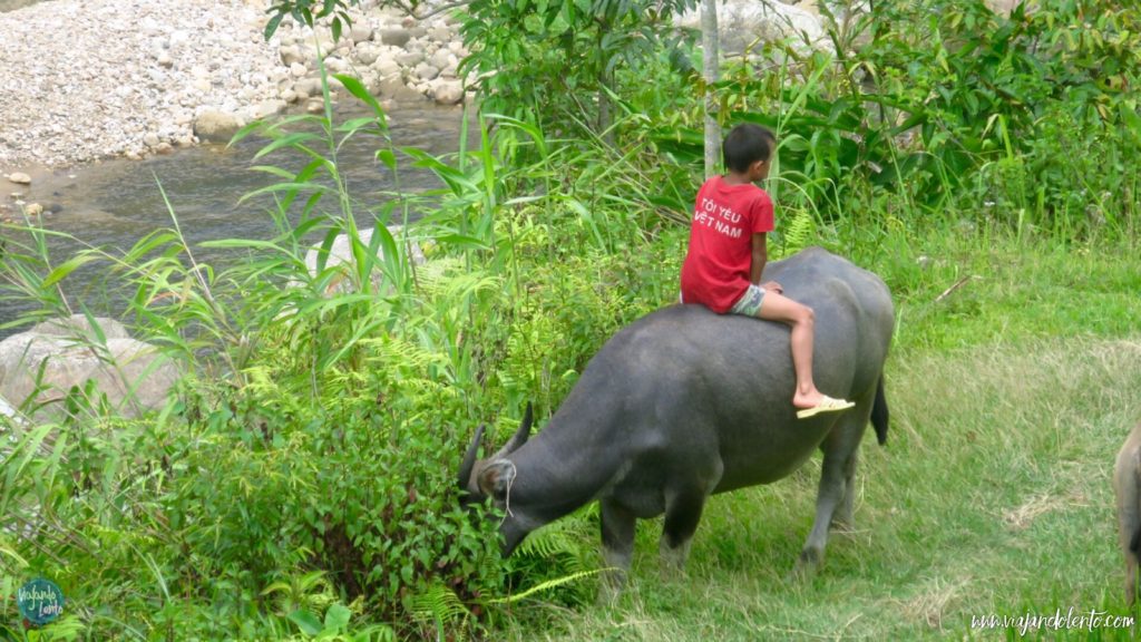 gente en vietnam