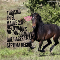 actividades región del maule